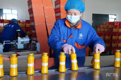 冬博會開幕在即 青河縣各參展企業(yè)已準備就緒