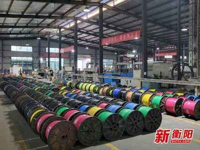 大國重器中的“衡陽制造”①|(zhì)恒飛電纜:“上天入海”彰顯制造實(shí)力